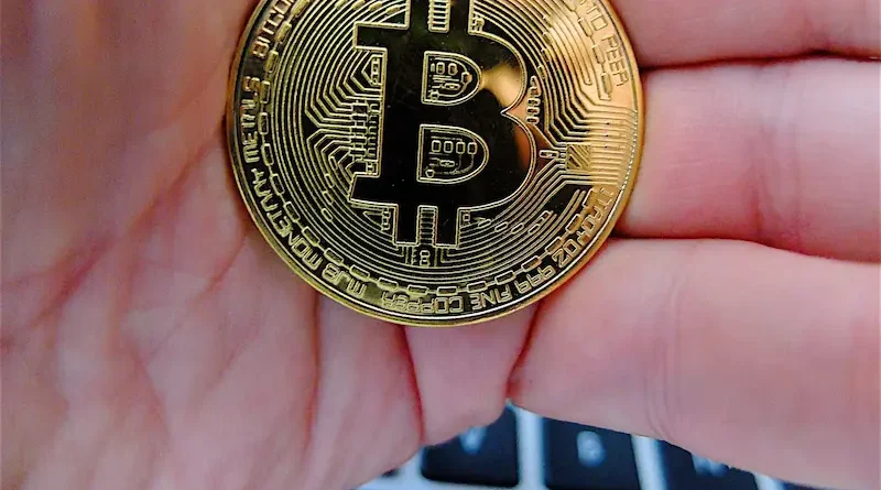 Bop444money A New Digital Personality Changing Online Conversations