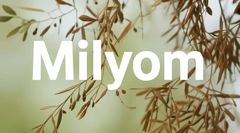 Milyom The Rising Word Reshaping Digital Identity and Creative Branding